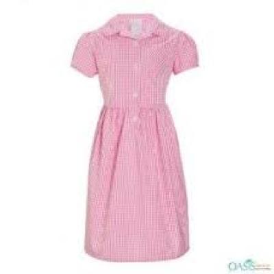 Pink Checked Dress 38